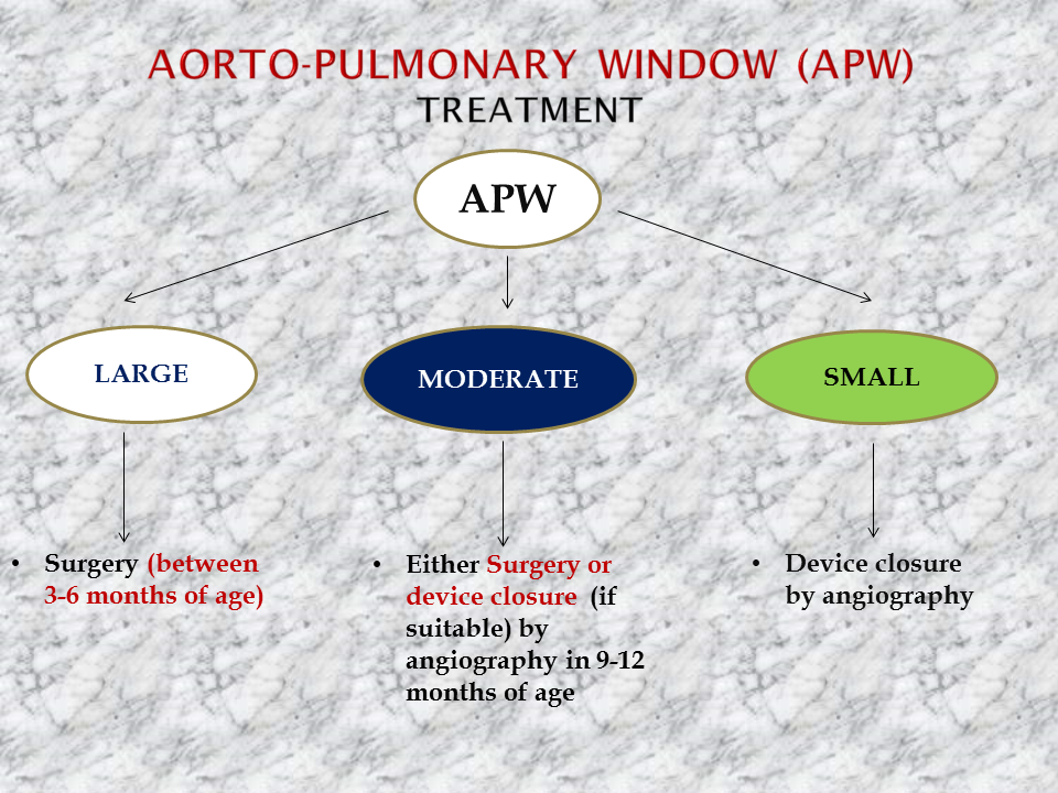 AP Window Diagnosis